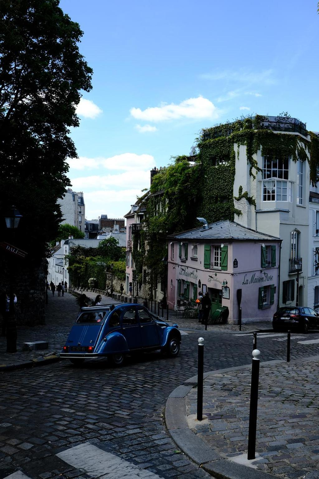 De Flore - Montmartre Paris